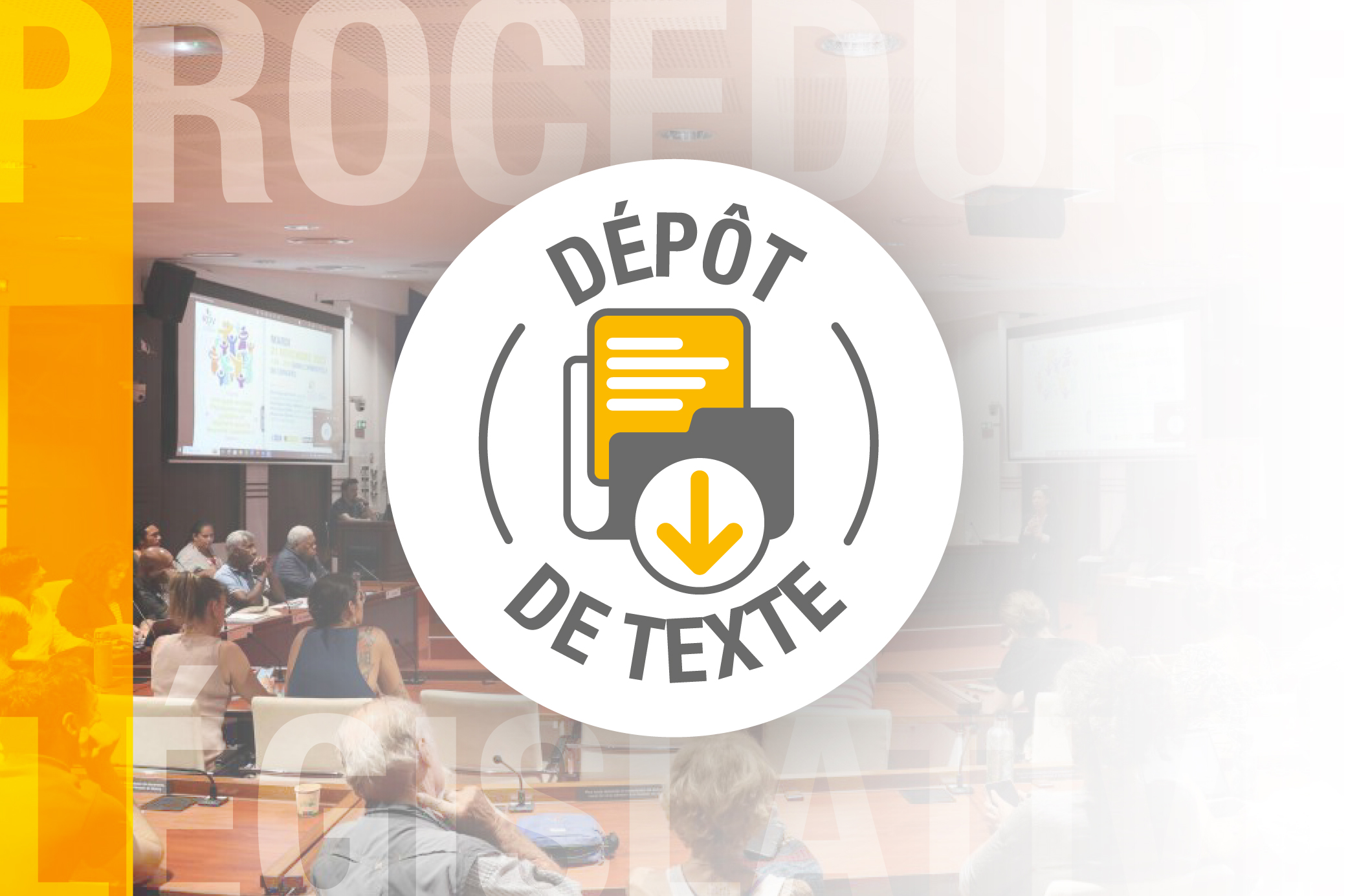 Projet de loi du pays portant modification de certaines dispositions